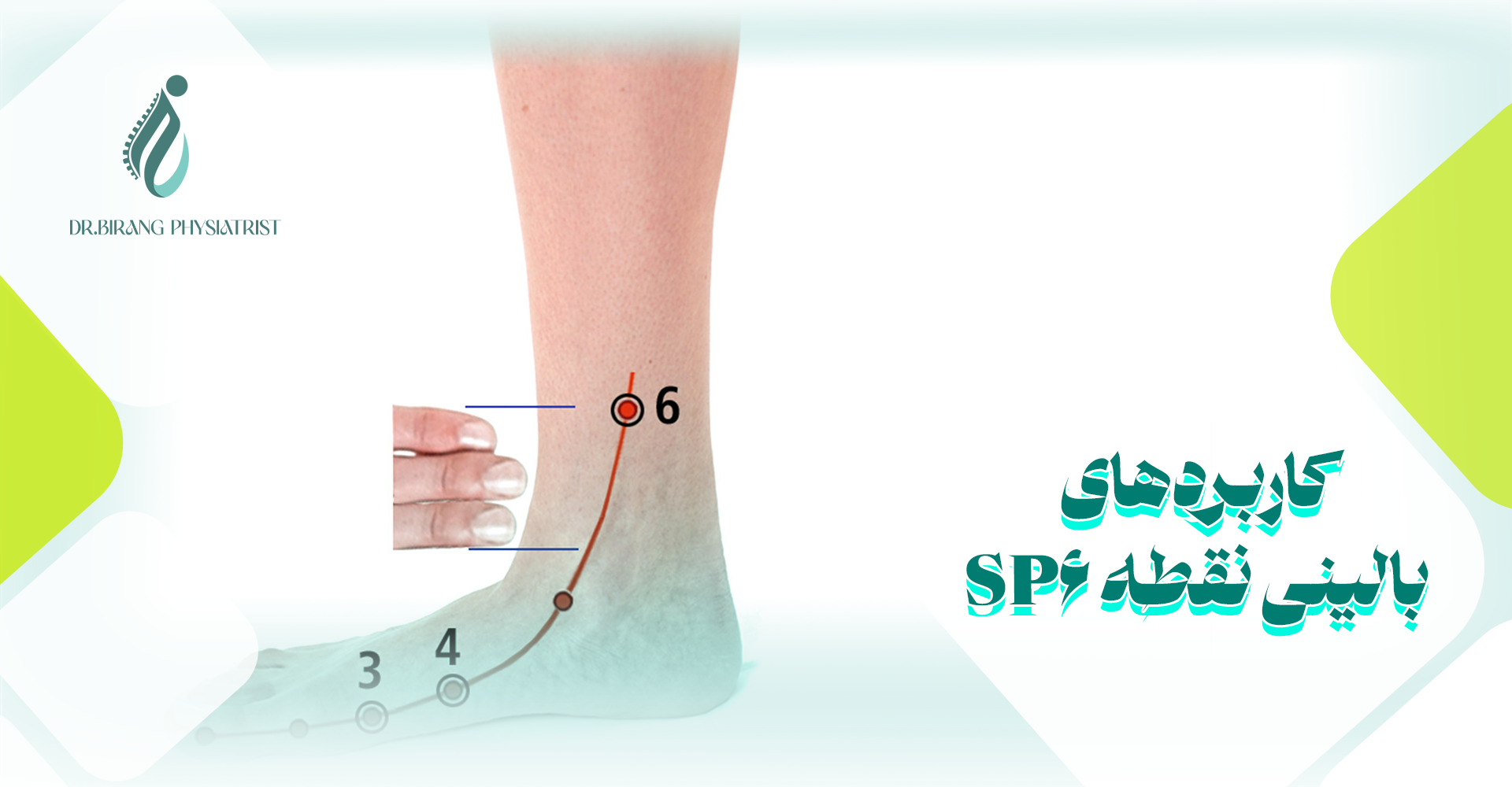 نقطه ST36 در طب سوزنی