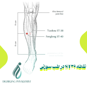 نقطه ST36 در طب سوزنی