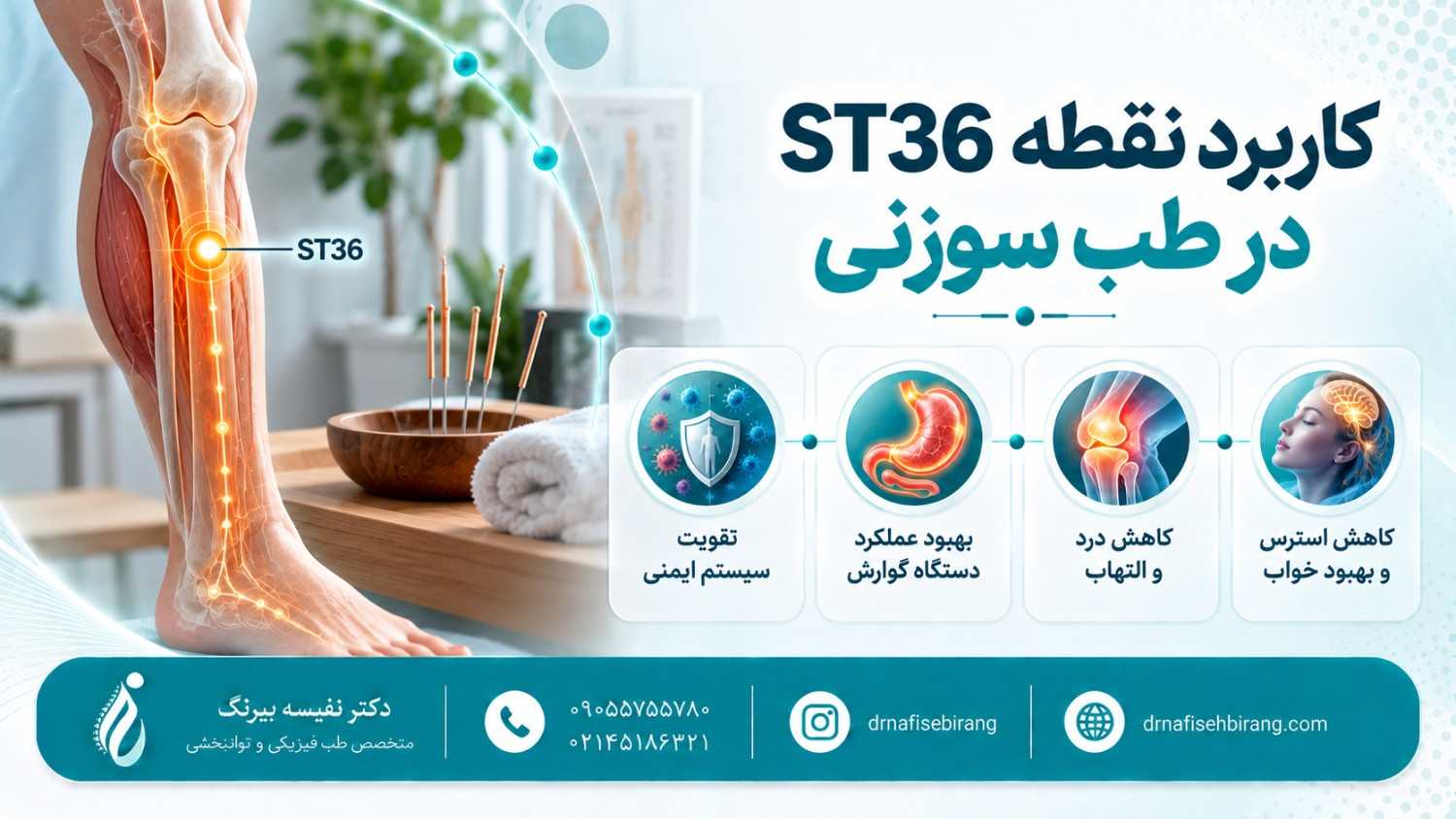 کاربرد نقطه ST36 در طب سوزنی